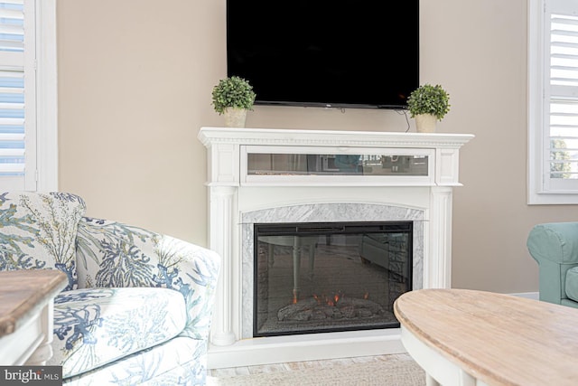 details featuring a premium fireplace