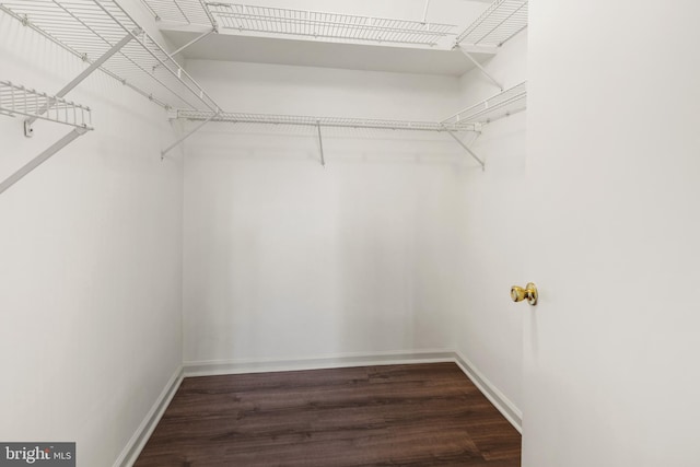 spacious closet featuring wood finished floors