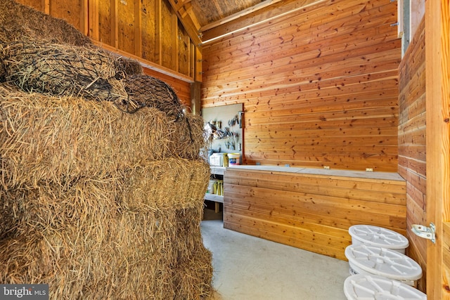 interior space with wooden walls