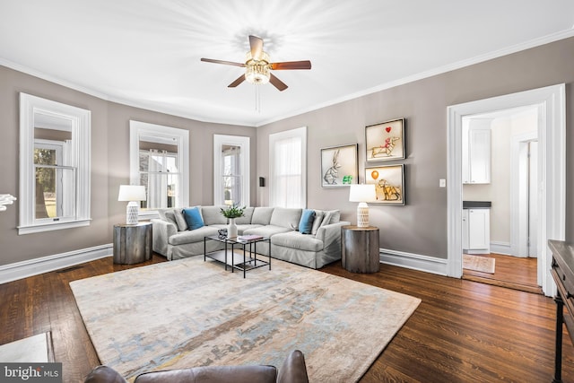 living room with dark wood-type flooring, a healthy amount of sunlight, and baseboards