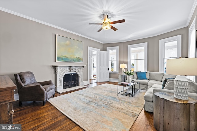 living area featuring a fireplace with raised hearth, ornamental molding, and hardwood / wood-style flooring