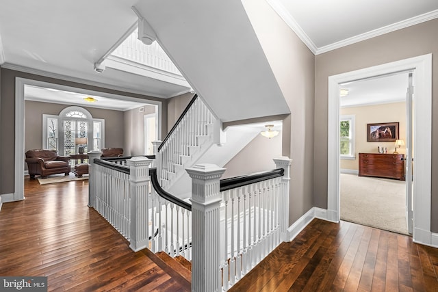 interior space featuring plenty of natural light, crown molding, baseboards, and hardwood / wood-style floors