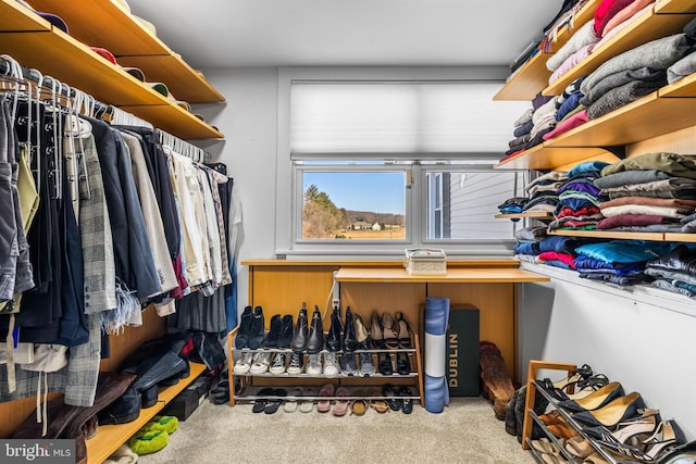 walk in closet featuring carpet