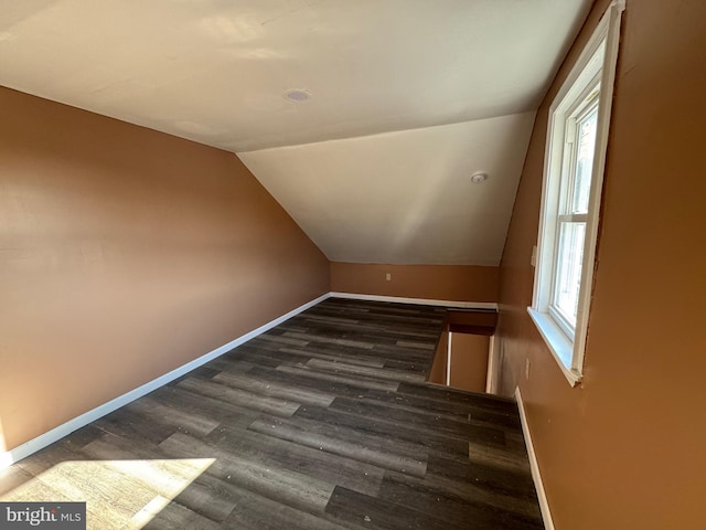 additional living space featuring dark wood-type flooring, baseboards, and lofted ceiling