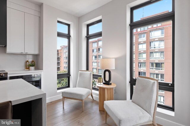 sitting room featuring baseboards, plenty of natural light, and light wood finished floors