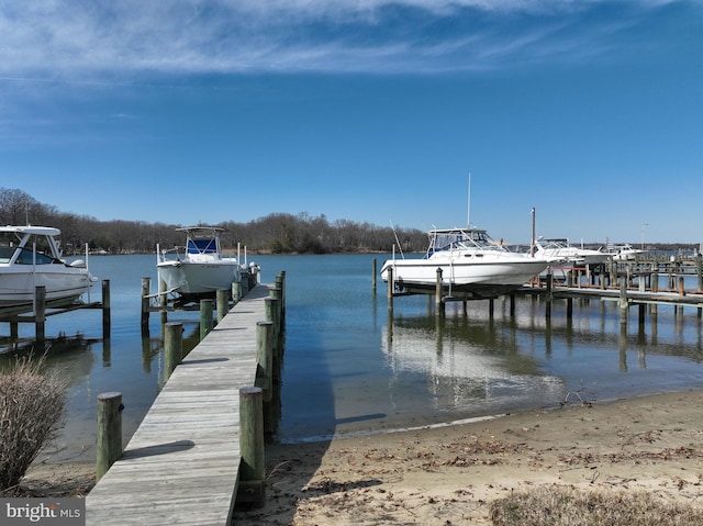 dock area featuring a water view and boat lift