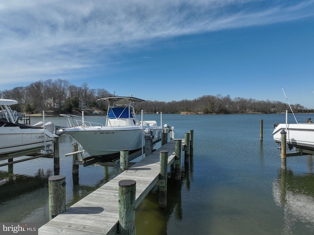 view of dock with a water view and boat lift