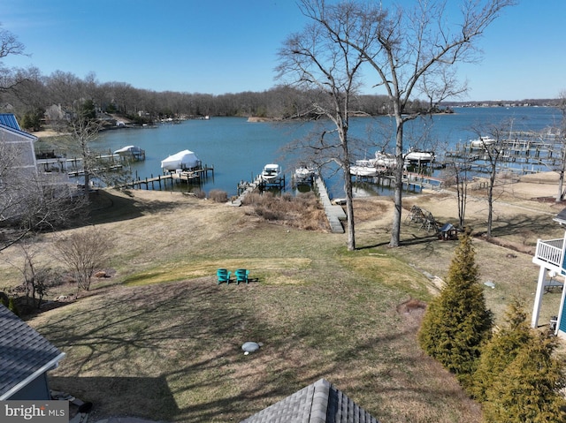 property view of water with boat lift and a dock