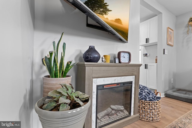 room details featuring a premium fireplace, baseboards, and wood finished floors