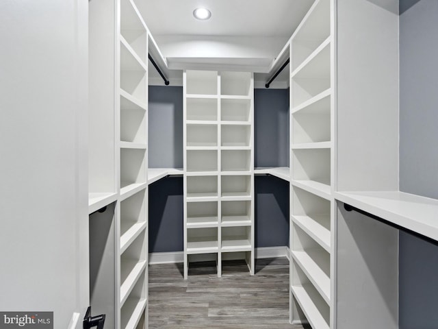 walk in closet featuring wood finished floors