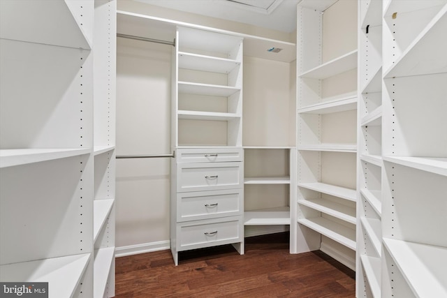 spacious closet featuring visible vents and dark wood-type flooring