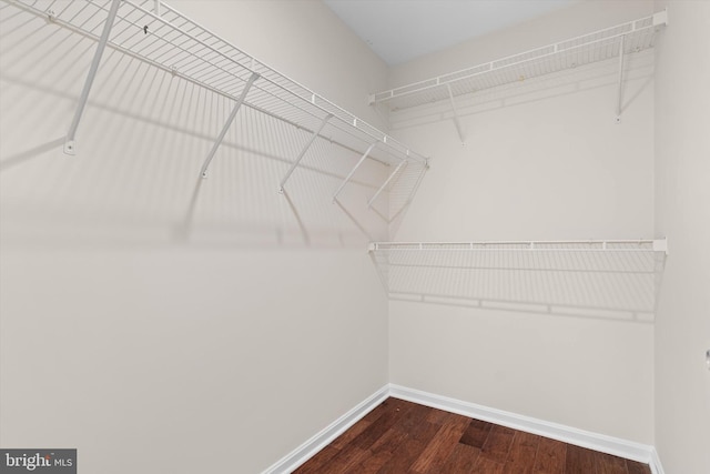 spacious closet featuring dark wood finished floors