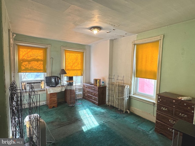 office with radiator heating unit, cooling unit, and carpet floors