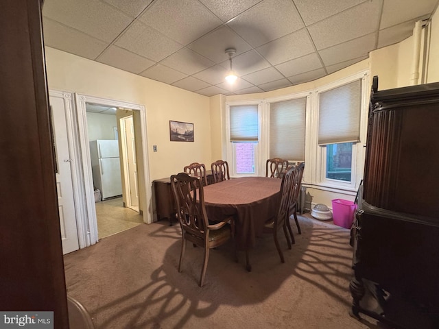 dining room featuring a paneled ceiling and carpet flooring