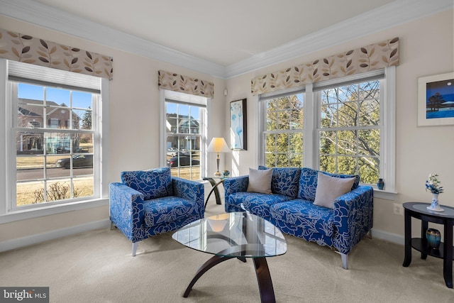 living area with a wealth of natural light, baseboards, carpet floors, and ornamental molding