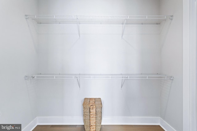 spacious closet featuring wood finished floors