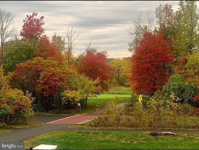 view of property's community with a lawn