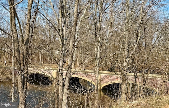 view of landscape featuring a water view