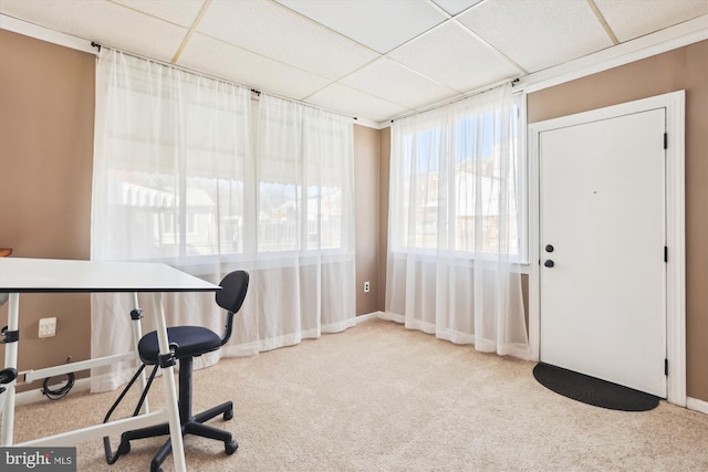 home office with a paneled ceiling and carpet