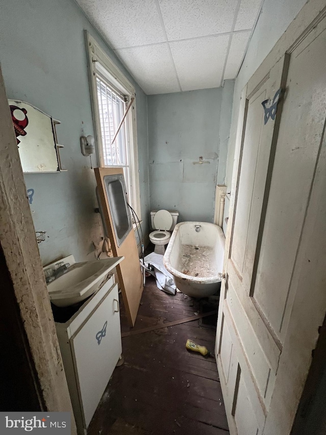 bathroom with vanity, hardwood / wood-style flooring, toilet, and a paneled ceiling