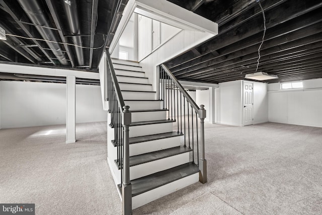 stairway with carpet flooring