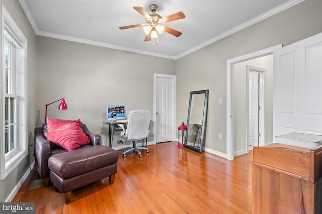 office space featuring crown molding, baseboards, light wood-type flooring, and a ceiling fan