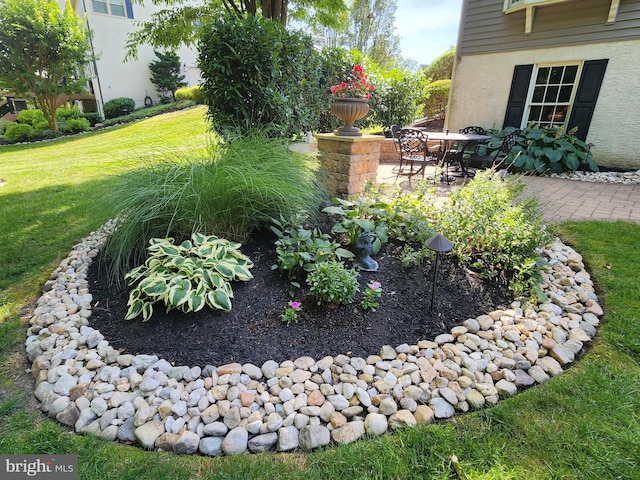 view of yard featuring a patio area