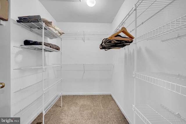 spacious closet with carpet