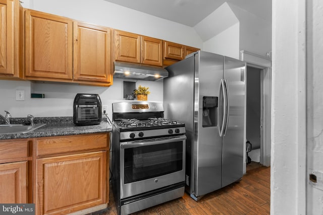 kitchen featuring dark wood-type flooring, appliances with stainless steel finishes, under cabinet range hood, and a sink