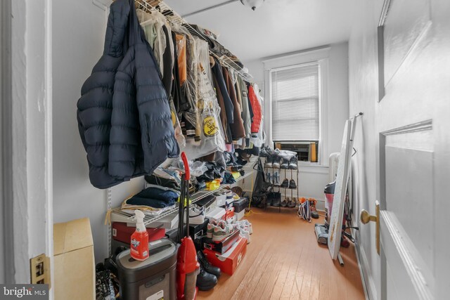 walk in closet featuring wood-type flooring