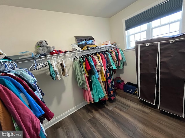 walk in closet featuring dark wood-style flooring