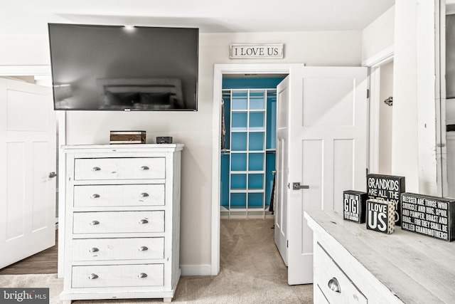 spacious closet with light colored carpet