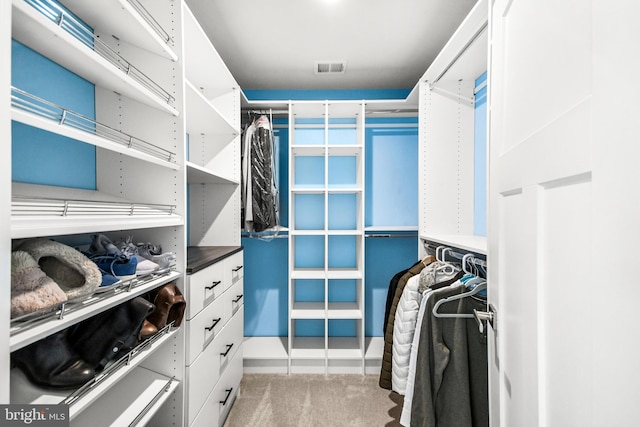 walk in closet featuring visible vents and carpet flooring