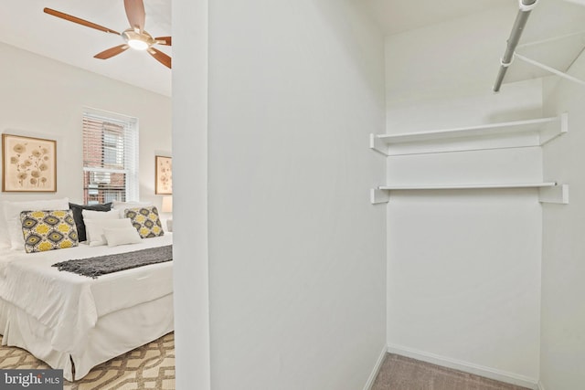 walk in closet featuring carpet and ceiling fan