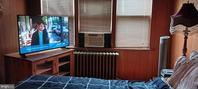 cinema with wooden walls and radiator