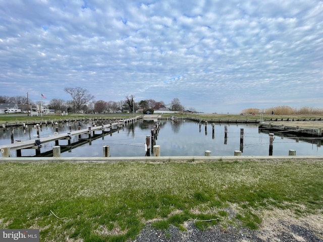 dock area with a water view