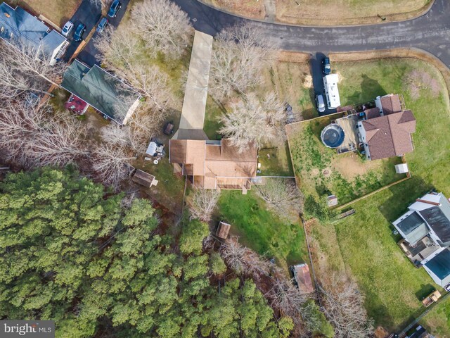 bird's eye view