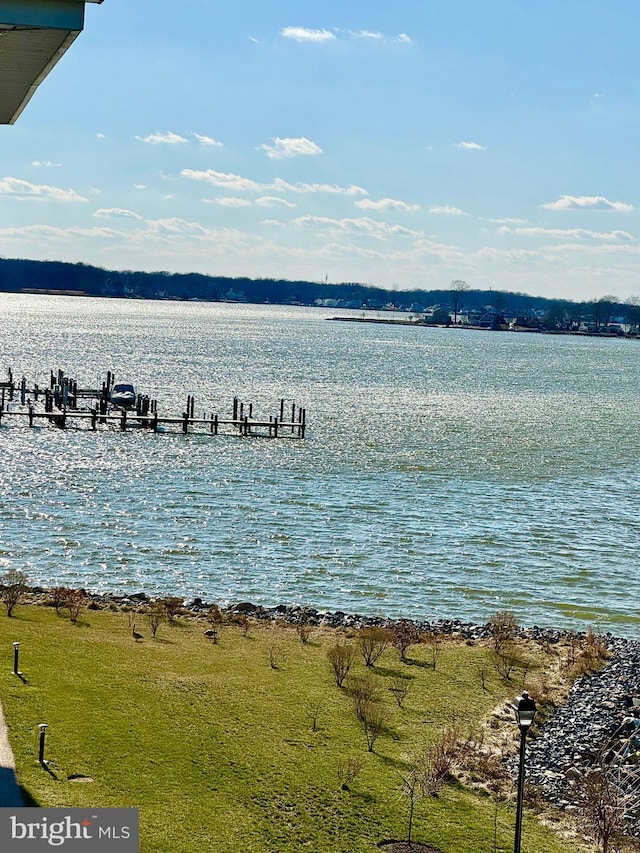 property view of water featuring a dock