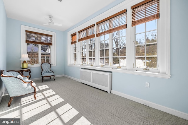 living area featuring ceiling fan, radiator heating unit, baseboards, and carpet floors