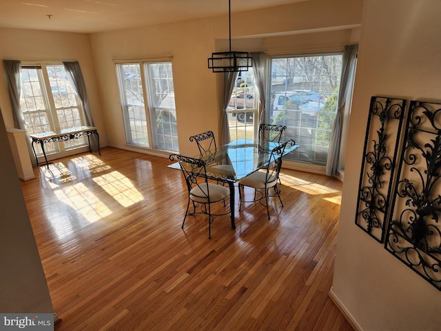 dining space featuring wood-type flooring