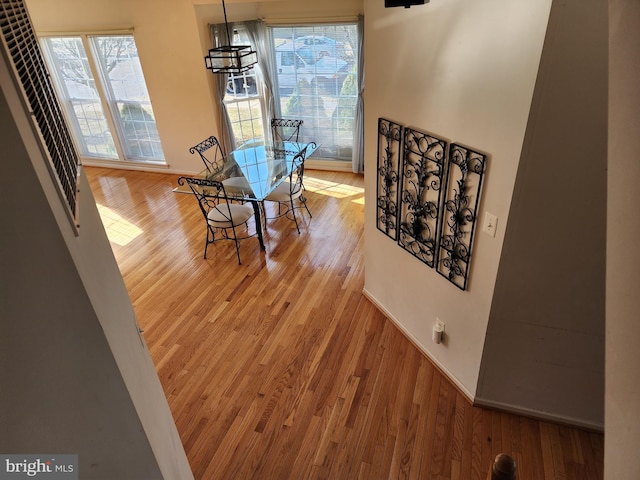 dining room with a wealth of natural light, baseboards, and wood finished floors