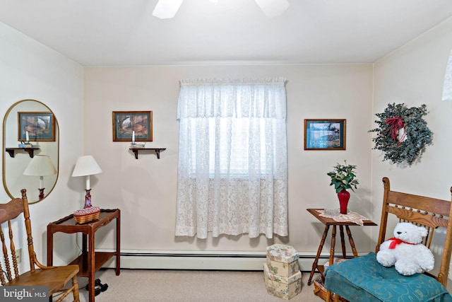 living area featuring carpet flooring