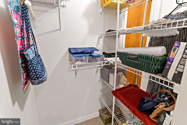 view of spacious closet