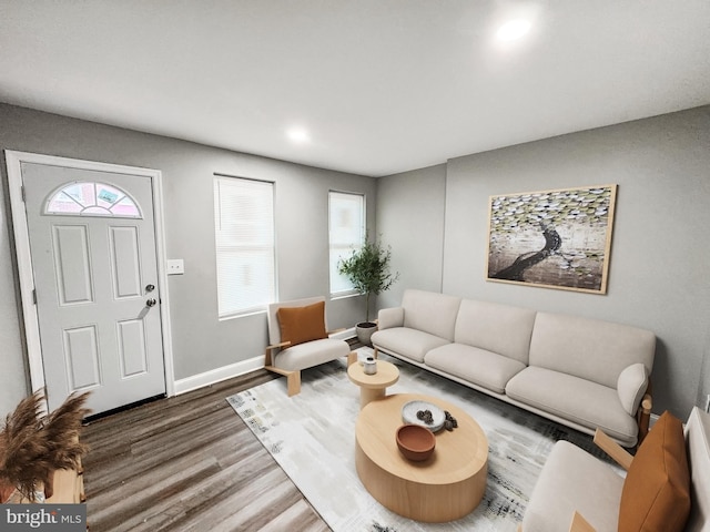 living area featuring plenty of natural light, wood finished floors, and baseboards