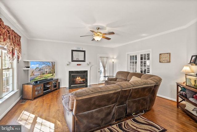 living room with a wealth of natural light, ornamental molding, a fireplace, and wood finished floors