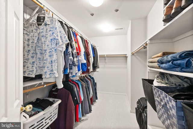 spacious closet featuring visible vents and carpet floors