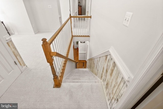 stairway featuring carpet floors