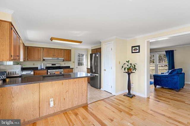 kitchen featuring under cabinet range hood, dark countertops, stainless steel appliances, a peninsula, and crown molding