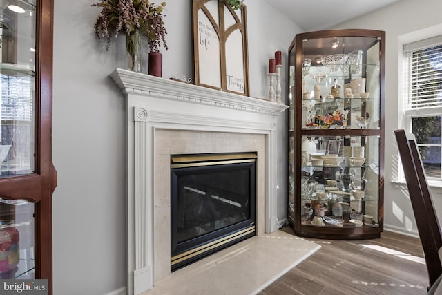 details featuring baseboards, wood finished floors, and a tile fireplace