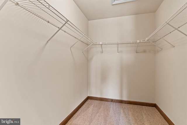 10 Silver Maple Dr, Boiling Springs, PA 17007 - walk in closet featuring carpet floors